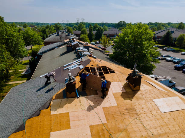 24/7 Emergency Roof Replacement experts in Triadelphia, WV